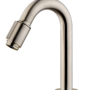 Caral Victoria fonteinkraan 1/2'' geborsteld staal PVD