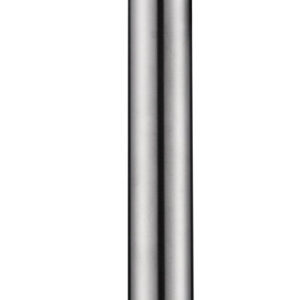 304 douchearm met plafondbevestiging rond 20 cm geborsteld RVS