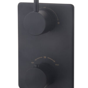 Caral afbouwdeel inbouwthermostaat 2 weg mat zwart